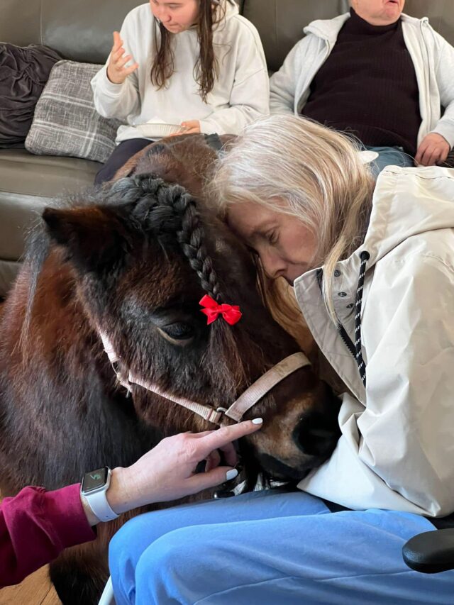 Pony Therapy