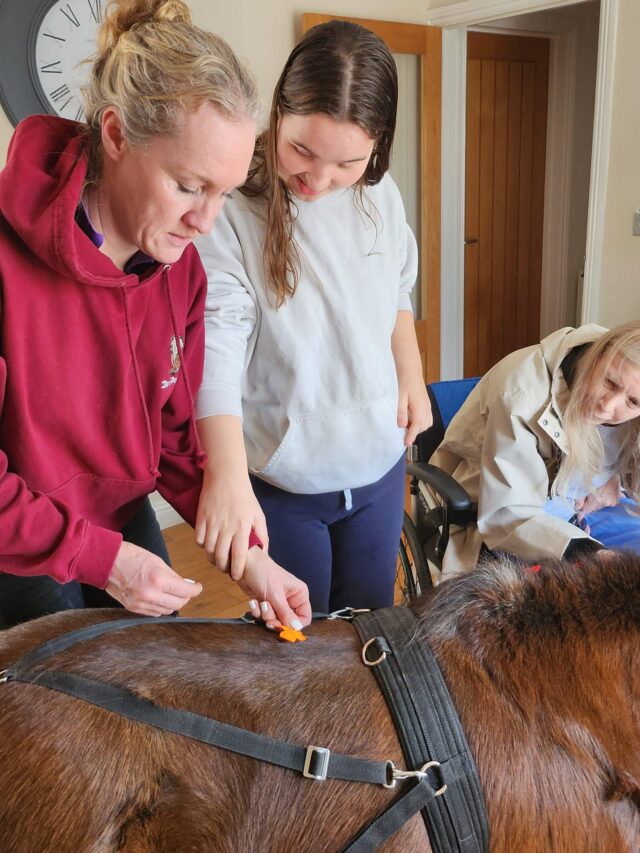 Pony Therapy 2